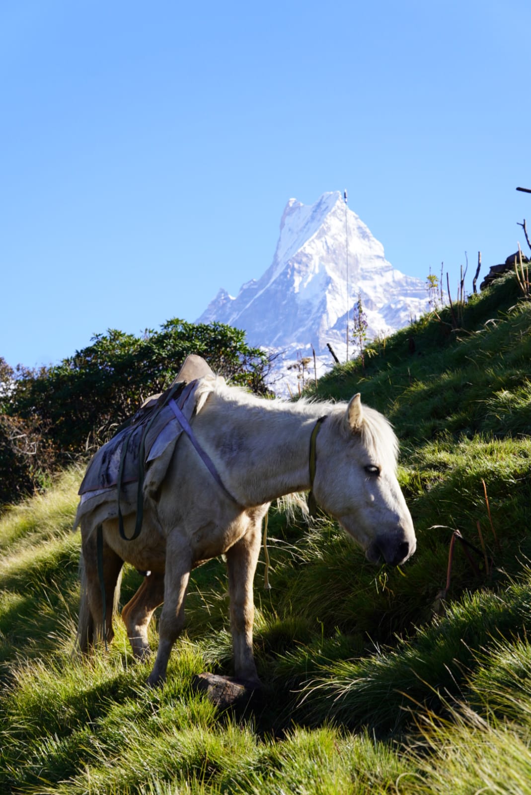 Nepal — wioska i codzienność